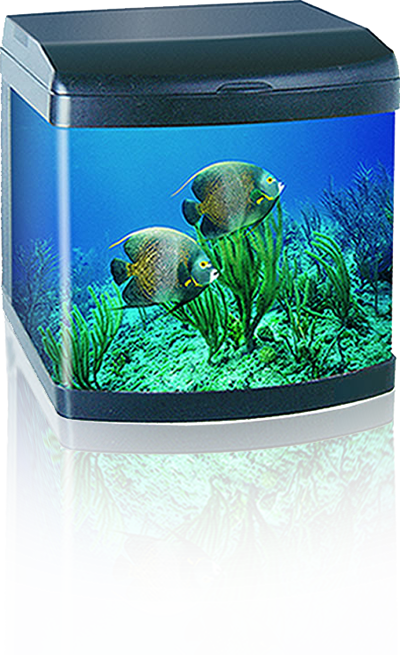 Antibacterial Glass Aquarium Antibacterial Glass Aquarium